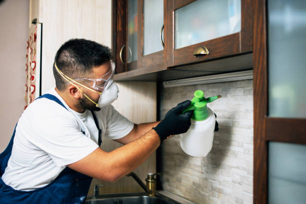 Best Commercial Pest Control Services  in Manor, TX