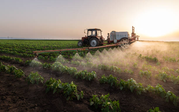 Best Mosquito Control Services  in Manor, TX