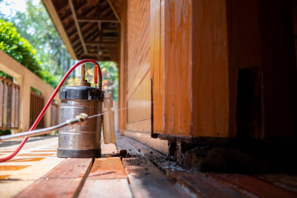 Best Best Pest Control Companies  in Manor, TX