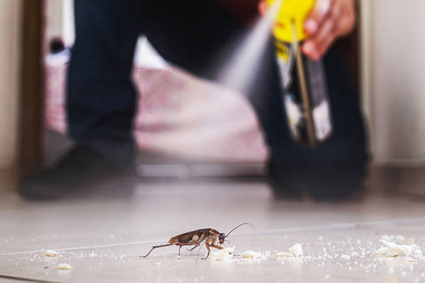 Best Exterminator Services  in Manor, TX