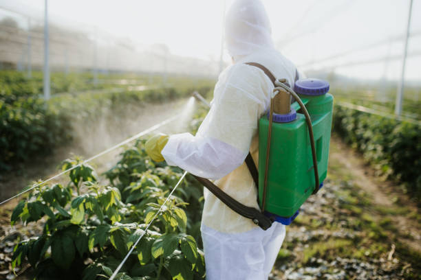 Reliable Manor, TX Pest Control Solutions